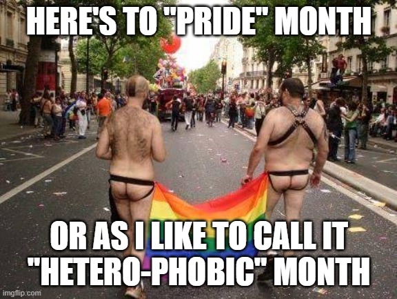 Gay Pride | HERE'S TO "PRIDE" MONTH; OR AS I LIKE TO CALL IT
"HETERO-PHOBIC" MONTH | image tagged in gay pride | made w/ Imgflip meme maker