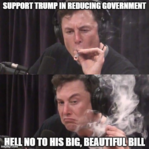 Flip Flop Musk | SUPPORT TRUMP IN REDUCING GOVERNMENT; HELL NO TO HIS BIG, BEAUTIFUL BILL | image tagged in elon musk weed | made w/ Imgflip meme maker