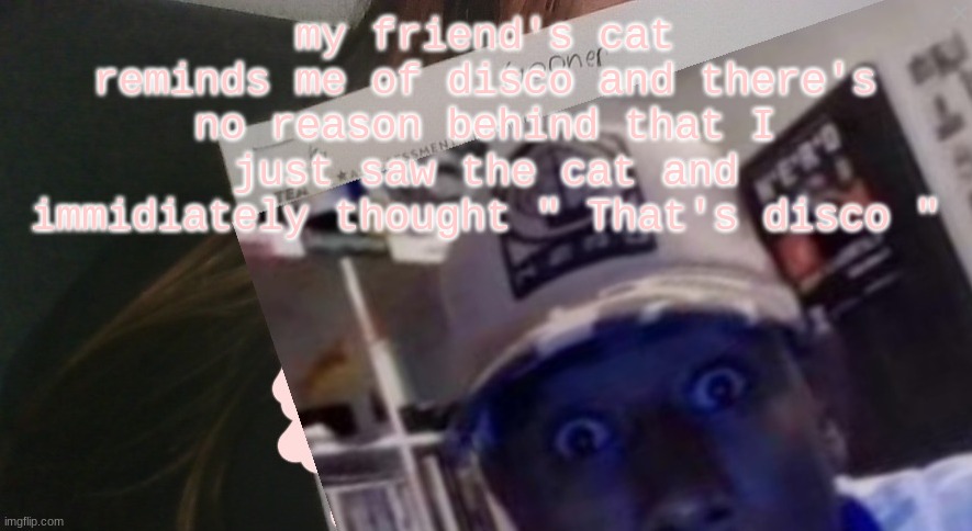 tyler gooner paper | my friend's cat reminds me of disco and there's no reason behind that I just saw the cat and immidiately thought " That's disco " | image tagged in tyler gooner paper | made w/ Imgflip meme maker