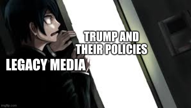 Basically the mainstream media heads and their pals have been smooshed to the ground lol | TRUMP AND THEIR POLICIES; LEGACY MEDIA | image tagged in what on the other side | made w/ Imgflip meme maker