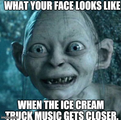 Gollum | WHAT YOUR FACE LOOKS LIKE WHEN THE ICE CREAM TRUCK MUSIC GETS CLOSER. | image tagged in memes,gollum | made w/ Imgflip meme maker