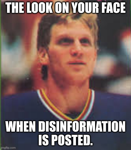 Brett Hull | THE LOOK ON YOUR FACE; WHEN DISINFORMATION IS POSTED. | image tagged in brett hull | made w/ Imgflip meme maker