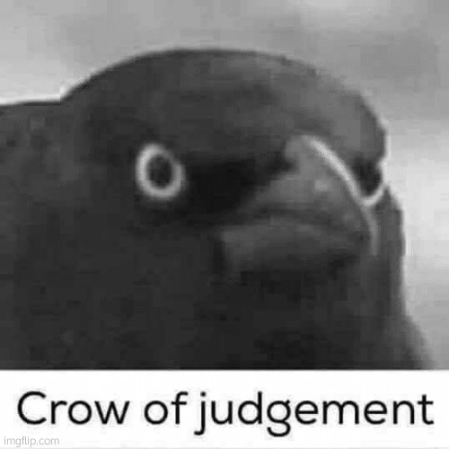 Crow of judgement | image tagged in crow of judgement | made w/ Imgflip meme maker