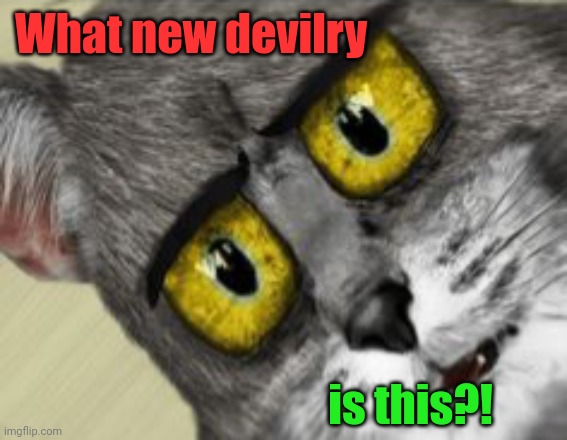 What new devilry is this?! | image tagged in unsettled tom 3d | made w/ Imgflip meme maker