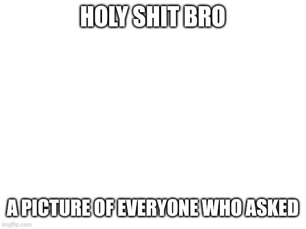 HOLY SHIT BRO A PICTURE OF EVERYONE WHO ASKED | made w/ Imgflip meme maker