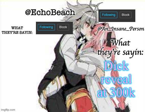 EchoBeach and InsanePerson shared temp :3 | Dick reveal at 300k | image tagged in echobeach and insaneperson shared temp 3 | made w/ Imgflip meme maker