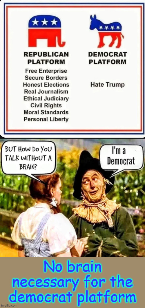 The only logical explanation | No brain necessary for the democrat platform | image tagged in dems,hate,america | made w/ Imgflip meme maker