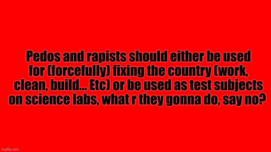 all red screen | Pedos and rapists should either be used for (forcefully) fixing the country (work, clean, build... Etc) or be used as test subjects on science labs, what r they gonna do, say no? | image tagged in all red screen | made w/ Imgflip meme maker
