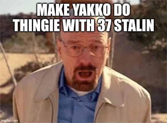 Walter White | MAKE YAKKO DO THINGIE WITH 37 STALIN | image tagged in walter white | made w/ Imgflip meme maker