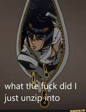 High Quality What did I unzip into Blank Meme Template