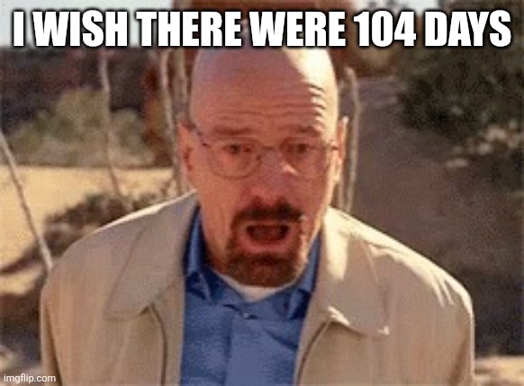 Walter White | I WISH THERE WERE 104 DAYS | image tagged in walter white | made w/ Imgflip meme maker