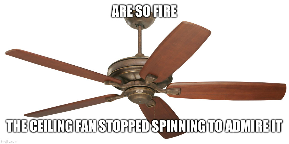 Ceiling fan | ARE SO FIRE THE CEILING FAN STOPPED SPINNING TO ADMIRE IT | image tagged in ceiling fan | made w/ Imgflip meme maker
