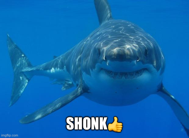 Straight White Shark | SHONK? | image tagged in straight white shark | made w/ Imgflip meme maker