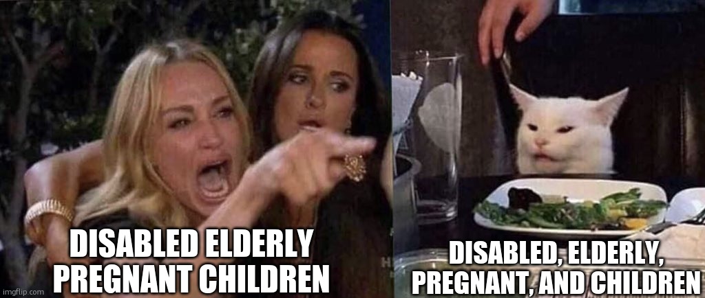 woman yelling at cat | DISABLED ELDERLY PREGNANT CHILDREN DISABLED, ELDERLY, PREGNANT, AND CHILDREN | image tagged in woman yelling at cat | made w/ Imgflip meme maker
