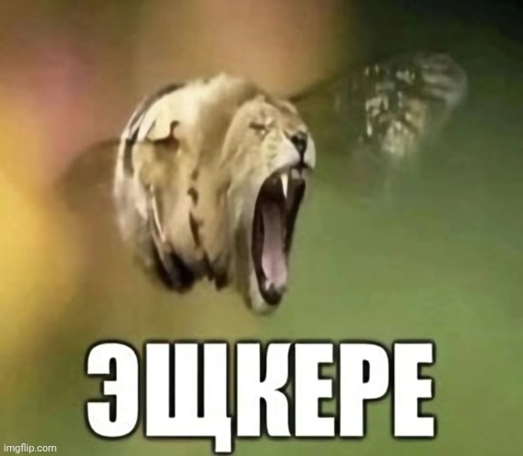 idk what to post | image tagged in 3wkwepe or sum shit | made w/ Imgflip meme maker