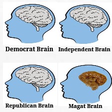 Magat Brain | Independent Brain; Democrat Brain; Republican Brain; Magat Brain | image tagged in funny but sad,jefthehobo | made w/ Imgflip meme maker