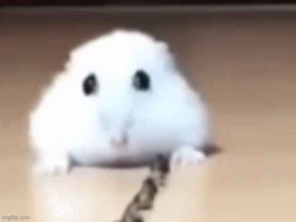 Peyey | image tagged in peyey | made w/ Imgflip meme maker
