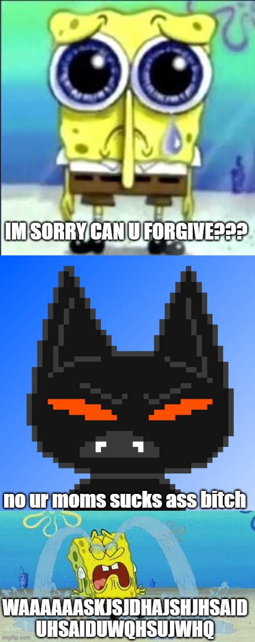 apology memes on deviantart be like | IM SORRY CAN U FORGIVE??? no ur moms sucks ass bitch; WAAAAAASKJSJDHAJSHJHSAID
UHSAIDUWQHSUJWHQ | image tagged in sad spongebob,sad crying spongebob,cat,angry | made w/ Imgflip meme maker