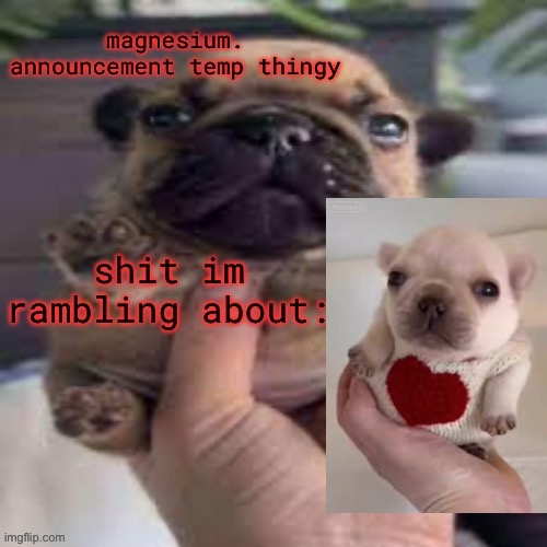 pug temp | image tagged in pug temp | made w/ Imgflip meme maker