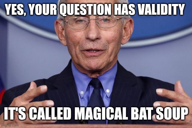 Please, to Pardon Me | YES, YOUR QUESTION HAS VALIDITY; IT'S CALLED MAGICAL BAT SOUP | image tagged in dr anthony fauci,otto penn | made w/ Imgflip meme maker