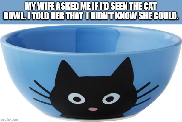 My wife asked me if I'd seen the cat bowl. I said "I didn't know she could." | MY WIFE ASKED ME IF I'D SEEN THE CAT BOWL. I TOLD HER THAT  I DIDN'T KNOW SHE COULD. | image tagged in cats,funny,kitten,bowl,bowling,humor | made w/ Imgflip meme maker