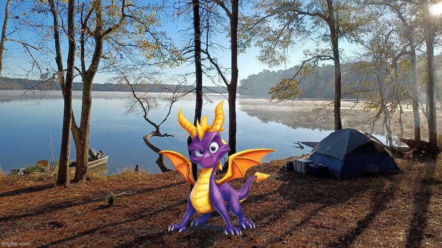 Spyro Protects the Campsite | image tagged in spyro,dragon,playstation,nintendo,activision,games | made w/ Imgflip meme maker