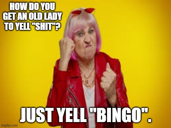How do you get an old lady to yell "shit"? Just yell out BINGO. | HOW DO YOU GET AN OLD LADY TO YELL "SHIT"? JUST YELL "BINGO". | image tagged in gaming,bingo,funny,games,humor | made w/ Imgflip meme maker