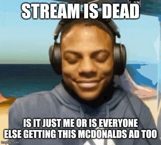 speed laughing | STREAM IS DEAD; IS IT JUST ME OR IS EVERYONE ELSE GETTING THIS MCDONALDS AD TOO | image tagged in speed laughing | made w/ Imgflip meme maker