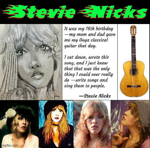 More than a Pretty Face: a Distinctive Voice | image tagged in vince vance,stevie nicks,rock n roll,fleetwood mac,guitar,mick fleetwood | made w/ Imgflip meme maker