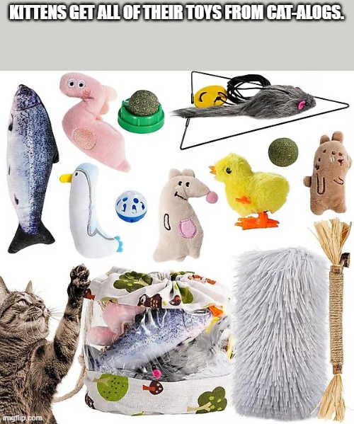 When a kitten wants toys, it orders them from a CAT-alog. | KITTENS GET ALL OF THEIR TOYS FROM CAT-ALOGS. | image tagged in cats,funny,kitten,toys,humor | made w/ Imgflip meme maker