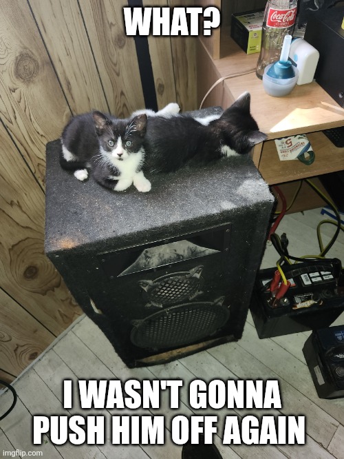 Slum and gowron | WHAT? I WASN'T GONNA PUSH HIM OFF AGAIN | image tagged in slum and gowron | made w/ Imgflip meme maker