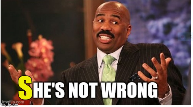 Well he's not 'wrong' | S | image tagged in well he's not 'wrong' | made w/ Imgflip meme maker