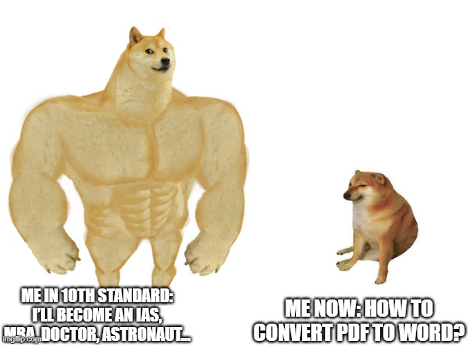 Big dog small dog | ME NOW: HOW TO CONVERT PDF TO WORD? ME IN 10TH STANDARD: I’LL BECOME AN IAS, MBA, DOCTOR, ASTRONAUT... | image tagged in big dog small dog | made w/ Imgflip meme maker