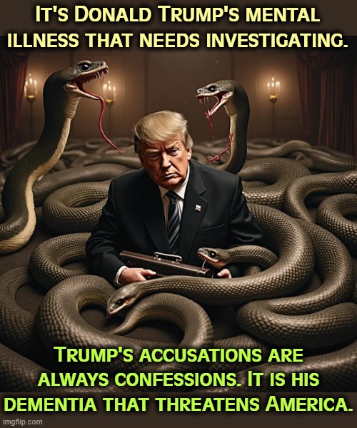 Biden is not the problem. | It's Donald Trump's mental illness that needs investigating. Trump's accusations are always confessions. It is his dementia that threatens America. | image tagged in trump,snakes,insane,malignant narcissist,dementia,frontotemporal dementia | made w/ Imgflip meme maker