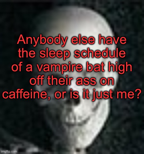 . | Anybody else have the sleep schedule of a vampire bat high off their ass on caffeine, or is it just me? | image tagged in skull | made w/ Imgflip meme maker