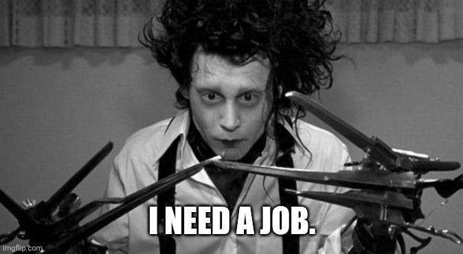 I NEED A JOB. | image tagged in edward scissorhands | made w/ Imgflip meme maker