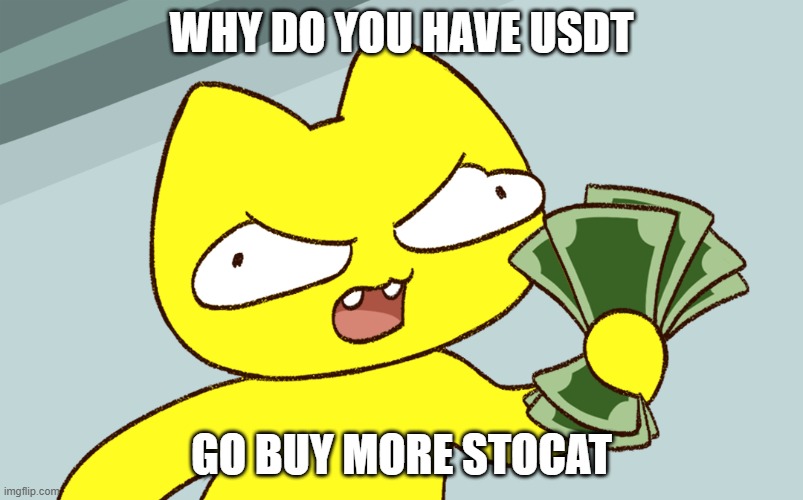 Stoopid Cats | WHY DO YOU HAVE USDT; GO BUY MORE STOCAT | image tagged in stoopid cats,funny cats,cat meme,funny cat memes,crypto | made w/ Imgflip meme maker