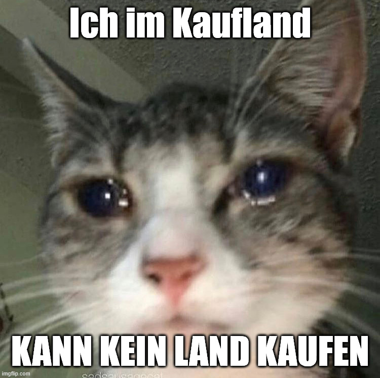KauflandSadCat | Ich im Kaufland; KANN KEIN LAND KAUFEN | image tagged in crying cat | made w/ Imgflip meme maker
