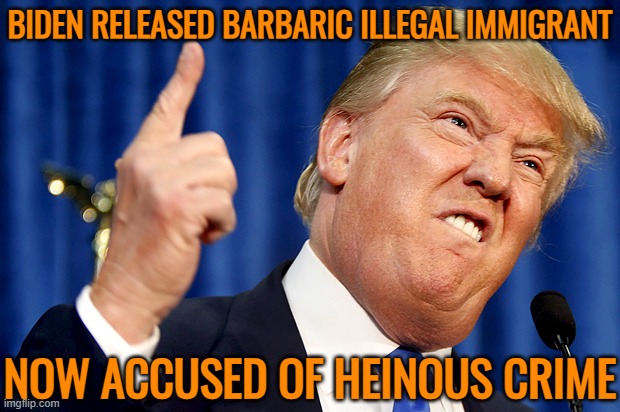 Trump's DHS says Biden released 'barbaric' illegal immigrant now accused of heinous crime | BIDEN RELEASED BARBARIC ILLEGAL IMMIGRANT; NOW ACCUSED OF HEINOUS CRIME | image tagged in donald trump,fox news,breaking news,joe biden,illegal immigration,crime | made w/ Imgflip meme maker