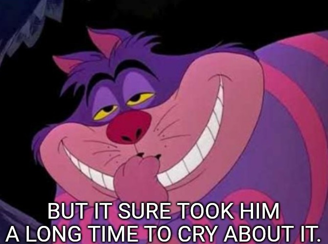 Clever | BUT IT SURE TOOK HIM A LONG TIME TO CRY ABOUT IT. | image tagged in clever | made w/ Imgflip meme maker