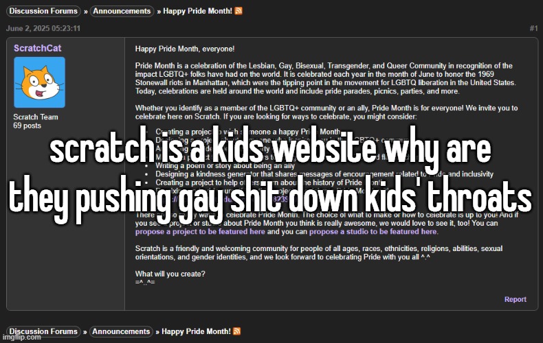 scratch is a kids website why are they pushing gay shit down kids' throats | made w/ Imgflip meme maker