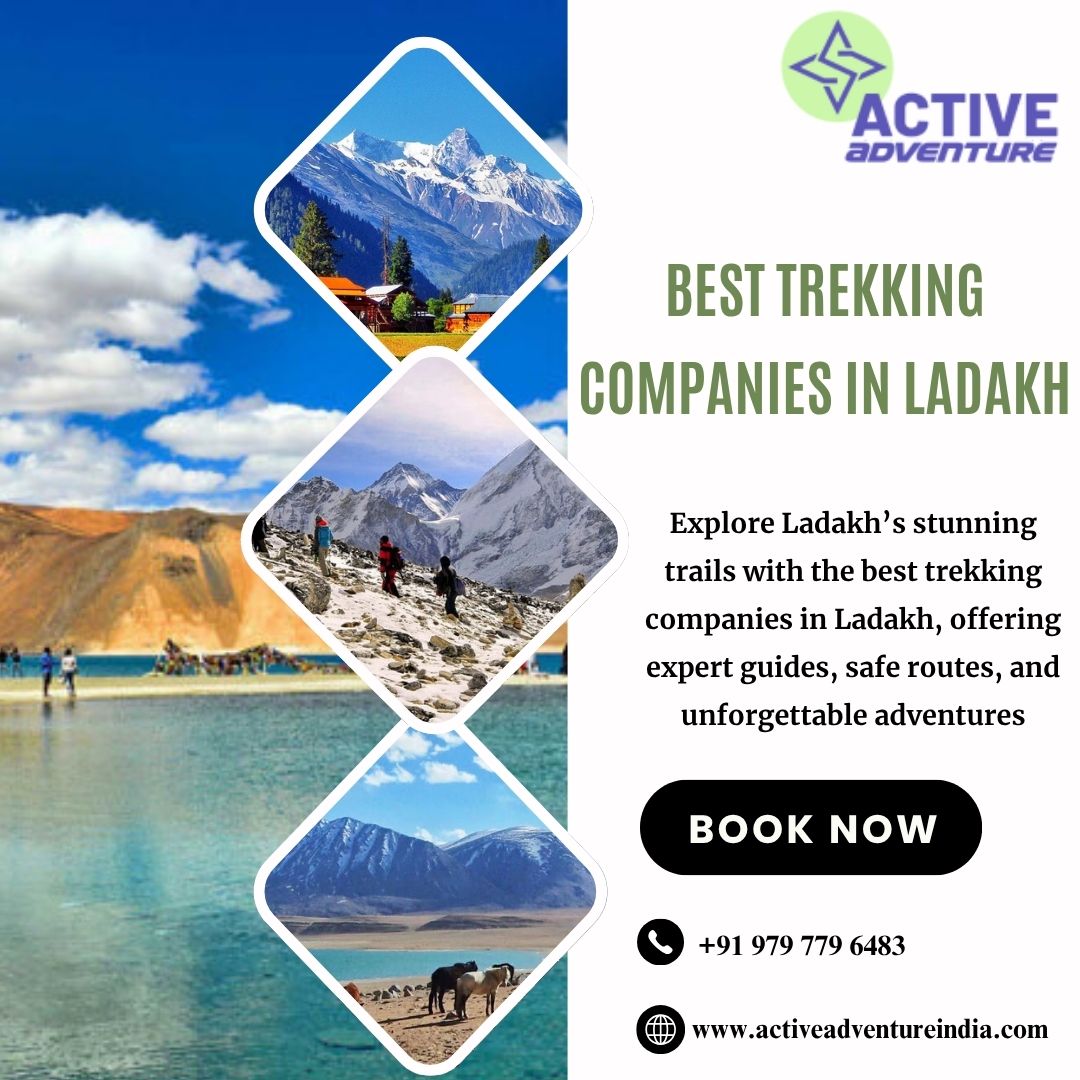 Best Trekking Companies in Ladakh Blank Meme Template