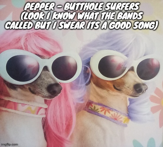 Groovy dawgs | PEPPER - BUTTHOLE SURFERS (LOOK I KNOW WHAT THE BANDS CALLED BUT I SWEAR ITS A GOOD SONG) | image tagged in groovy dawgs | made w/ Imgflip meme maker