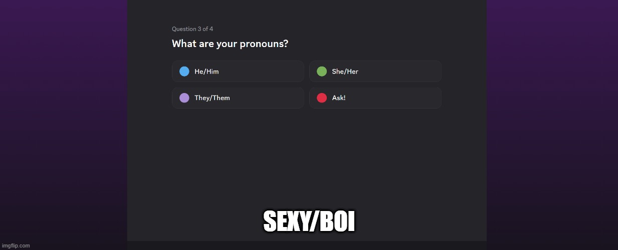 What Are Your Pronouns | SEXY/BOI | image tagged in fun | made w/ Imgflip meme maker