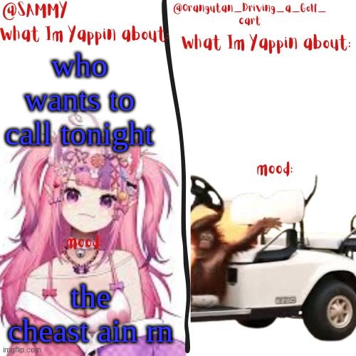orangutan and Sammy's shared temp | who wants to call tonight; the cheast ain rn | image tagged in orangutan and sammy's shared temp | made w/ Imgflip meme maker