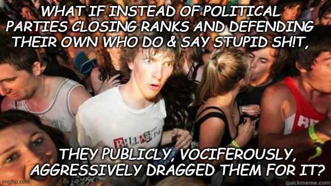 What an interesting political landscape it would be... | WHAT IF INSTEAD OF POLITICAL PARTIES CLOSING RANKS AND DEFENDING THEIR OWN WHO DO & SAY STUPID SH!T, THEY PUBLICLY, VOCIFEROUSLY, AGGRESSIVELY DRAGGED THEM FOR IT? | image tagged in what if rave | made w/ Imgflip meme maker