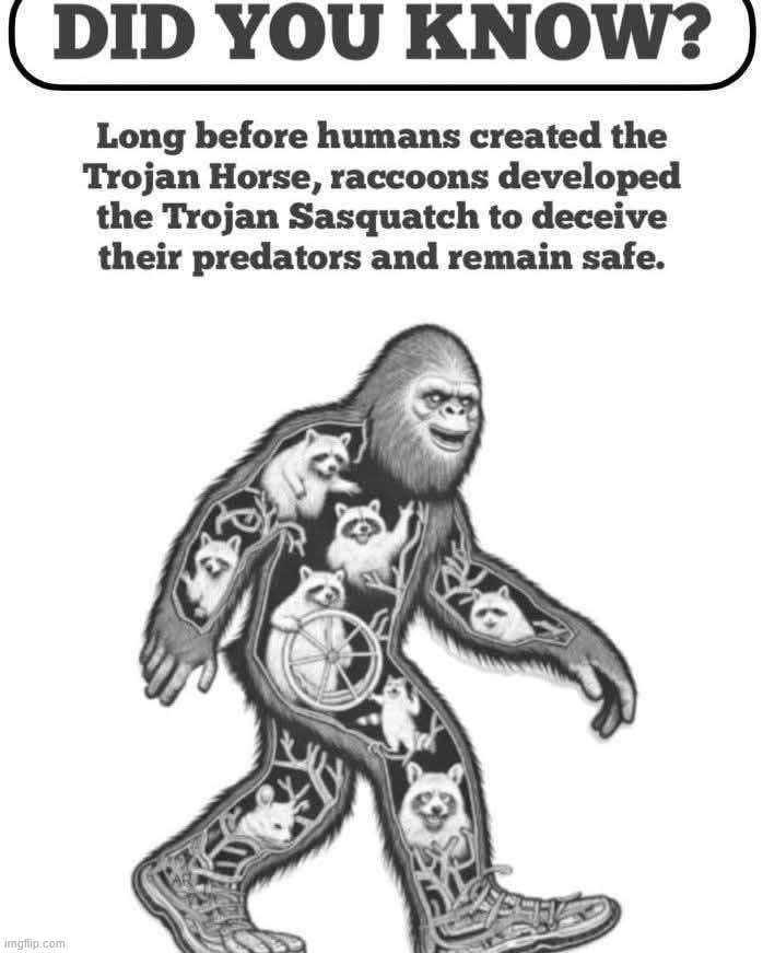 Bigfoot | image tagged in repost | made w/ Imgflip meme maker