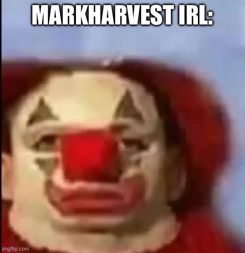 clown face. | MARKHARVEST IRL: | image tagged in clown face | made w/ Imgflip meme maker