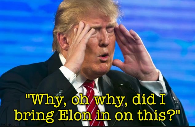 Trump's second thoughts are doozies | "Why, oh why, did I 
bring Elon in on this?" | image tagged in trump - sad so sad | made w/ Imgflip meme maker