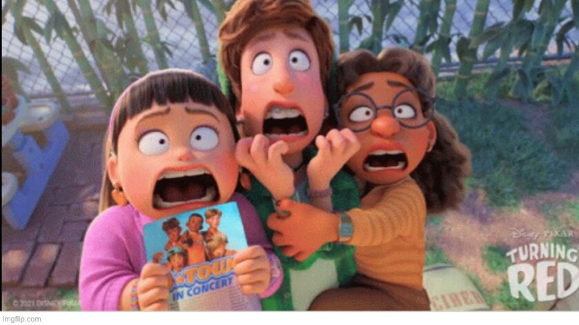 Screaming girls | image tagged in screaming girls | made w/ Imgflip meme maker